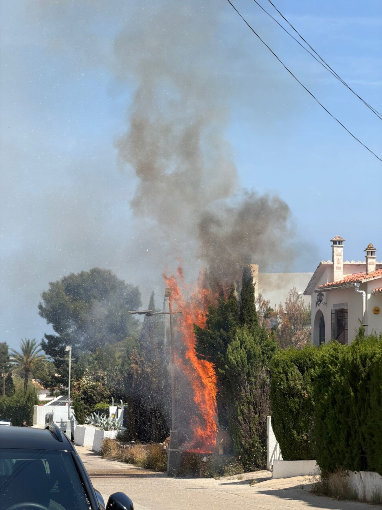Momento en el que el fuego devora uno de los setos próximos a las viviendas en el camí Santa Llúcia