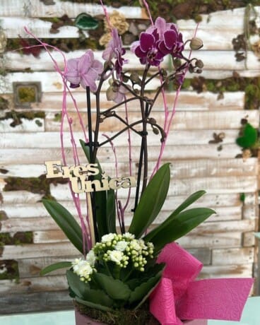 Preciosas variedades de flores para regalar en Dénia