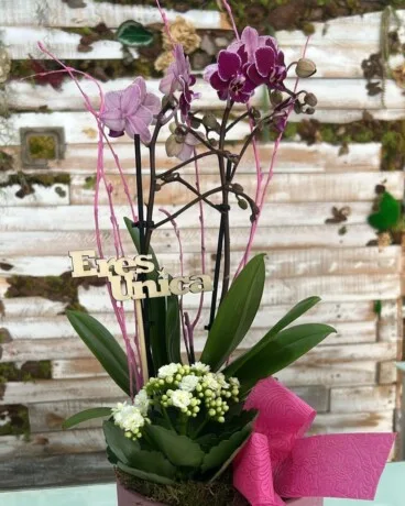 Preciosas variedades de flores para regalar en Dénia