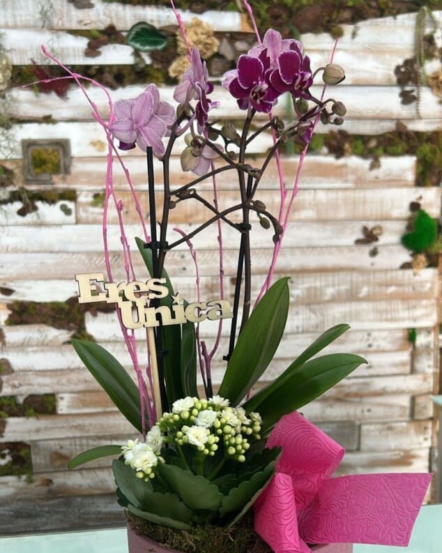 preciosas variedades de flores para regalar en denia