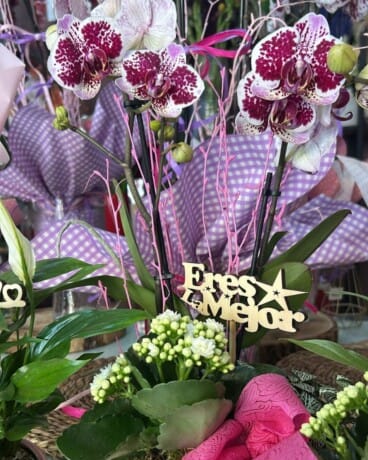 Regala flores únicas en Dénia