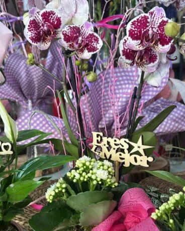 Regala flores únicas en Dénia
