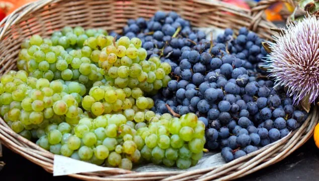 Imagen: Rigor técnico y respaldo institucional