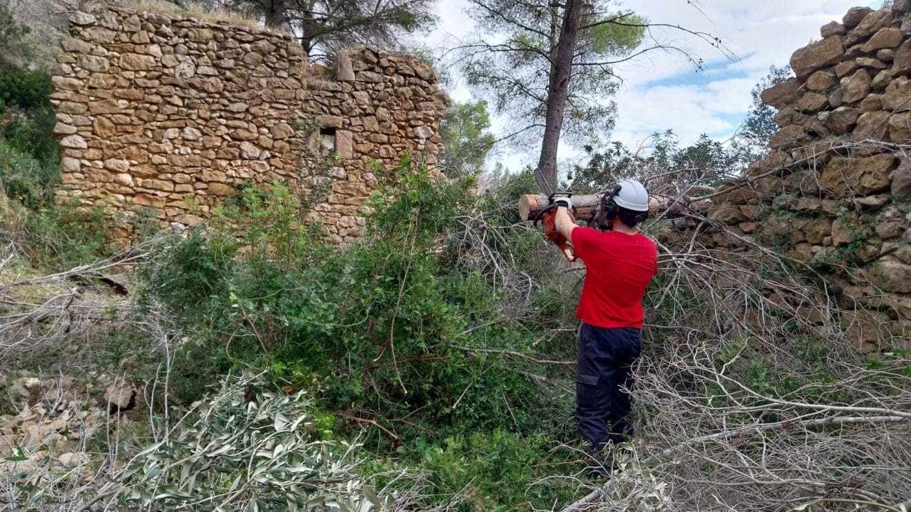 Trabajos de prevención forestal del programa EMERGE en Dénia