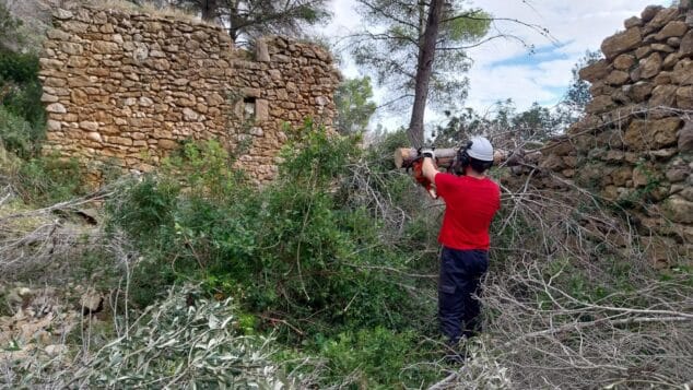 Imagen: Un trabajador forestal con casco y motosierra corta ramas en una zona rural junto a una ruina de piedra.