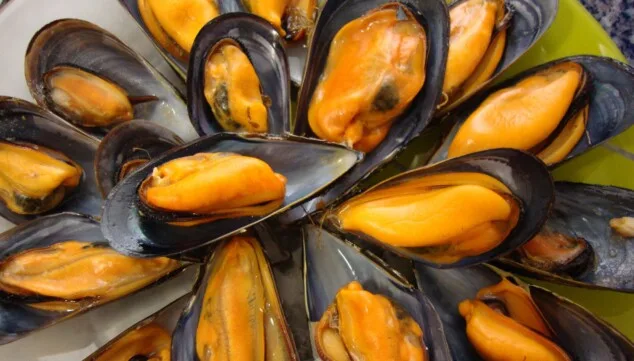 cocina de calidad para disfrutar del mediterraneo