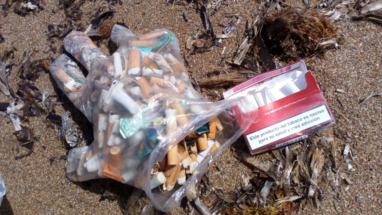 Colillas recogidas por Cultura Sostenible en las playas de Dénia (archivo)