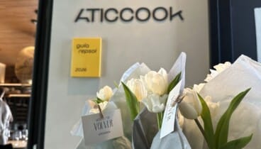 El tulipán blanco como símbolo del renacimiento de Aticcook