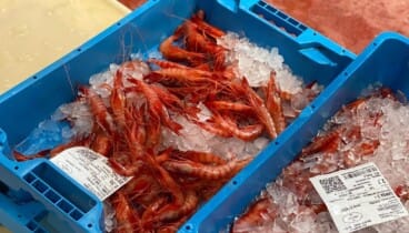 Gamba roja de Dénia