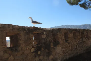 Pilar Bernabé visita el Castell de Dénia tras la rehabilitación (19)