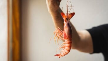 Por qué elegir Dénia para tu próxima escapada gastronómica