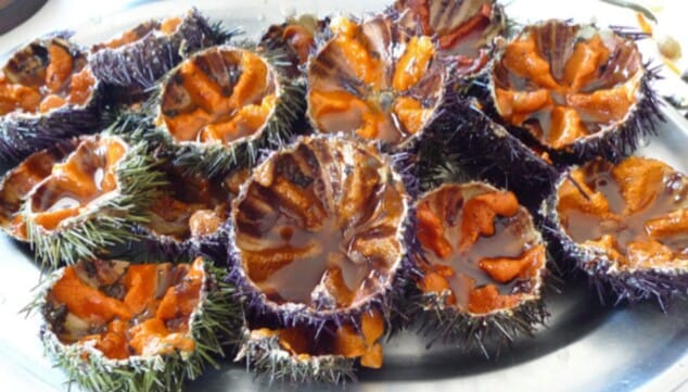 sabor a mar en cada plato de jamse larros