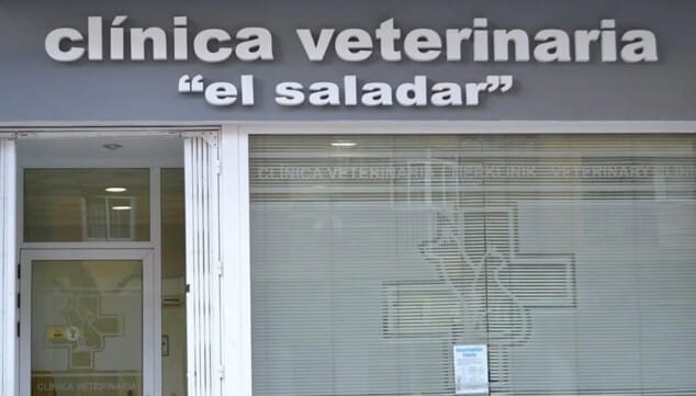 Tu mascota no suda como tú: ¿sabes cómo protegerla del calor este verano? 13 Imagen: Clínica Veterinaria El Saladar