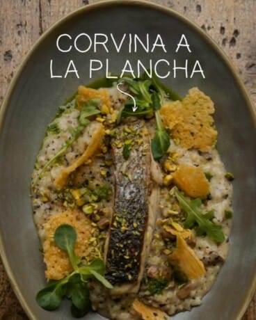 Corvina