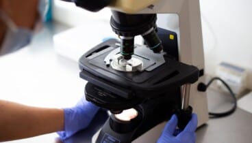 Diagnóstico genético preimplantacional