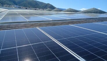 La naturaleza ofrece la solución exacta en el momento de mayor necesidad