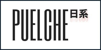 Logo recomendado Puelche