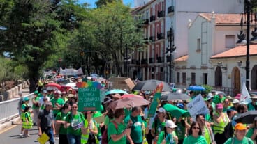 manifestacion de docentes en el passeig de la petxina de valencia el 27 de mayo archivo