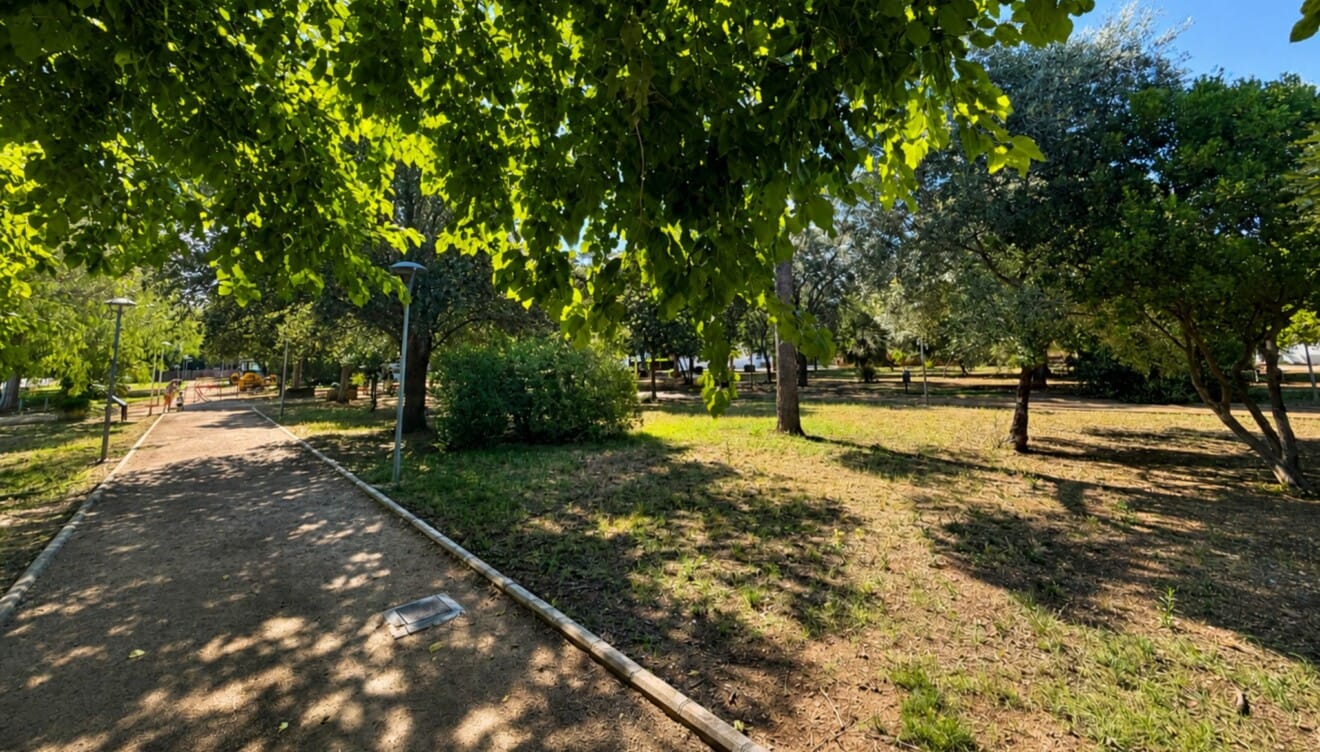 Música en un oasis verde lleno de naturaleza