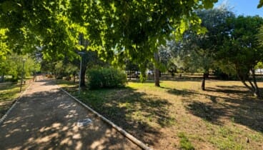 Música en un oasis verde lleno de naturaleza