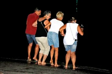 Celebración de la noche de San Juan en Dénia