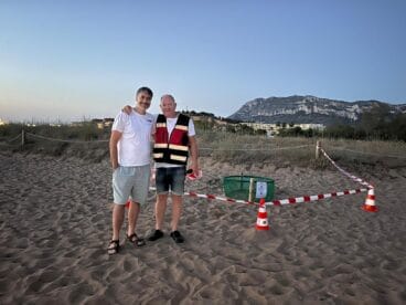 Primer nido de tortuga boba de la temporada 2024 en Dénia