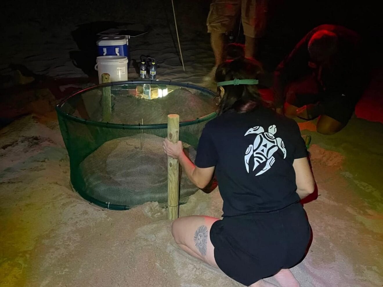 Voluntarios y técnicos trabajan en la protección del nido siguiendo el protocolo para no molestar al animal