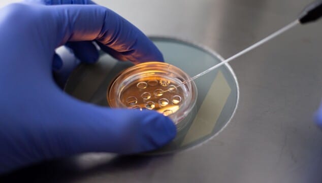Tecnología de vanguardia y excelencia médica: así es la nueva clínica de fertilidad de Ondara 12 tecnologia avanzada para detectar anomalias