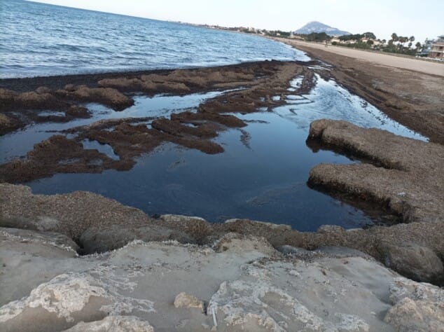 Imagen: Acumulación masiva de posidonia y fango en la orilla, una estampa que desespera a los vecinos del norte