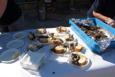Almuerzo popular de las Fiestas de Dénia 2026 10