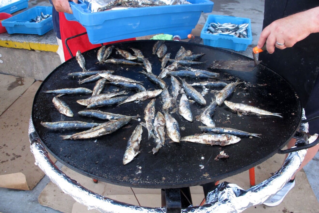 Almuerzo popular de las Fiestas de Dénia 2026 4