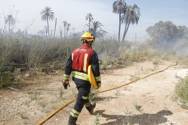 El Dia de Falles en Dénia: entre el éxito de las paellas, un susto junto a la playa y el sofocante termómetro 2 Imagen: Bombero en la zona con el fuego ya controlado