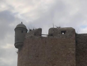 Gent de Dénia pide retirar árboles de la ladera del Castillo para evitar su deterioro 1 Torre de vigilancia y muralla de piedra del Castillo de Dénia con vegetación en la parte superior bajo un cielo nublado.