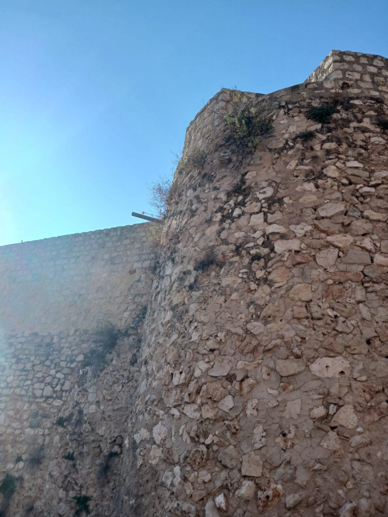 Detalle de las murallas del Castillo de Dénia mostrando vegetación