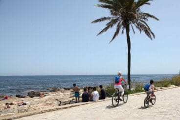 Dos días de aviso naranja en la Marina Alta: Emergencias lanza un aviso especial por la ola de calor 3 Dos personas en bicicleta por un paseo marítimo con una palmera, y un grupo de gente sentada en las rocas junto al mar en un día soleado.
