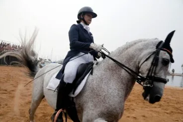 Espectáculo benéfico Caballos de ensueño 10