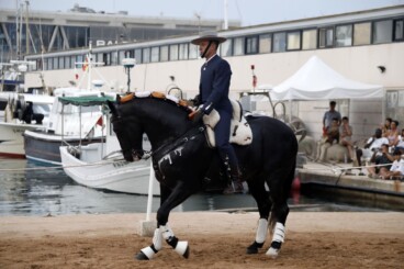 Espectáculo benéfico Caballos de ensueño 12