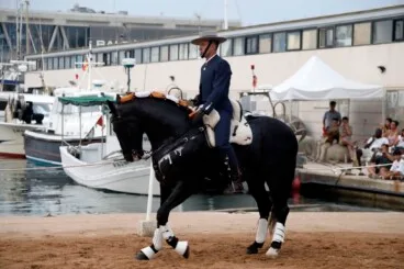 Espectáculo benéfico Caballos de ensueño 12