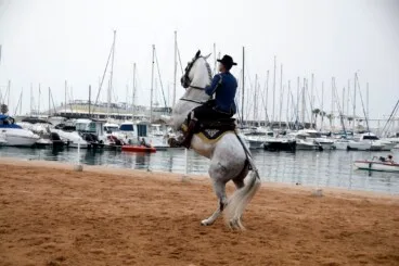 El espectáculo ecuestre «Caballos de ensueño» ofreció una exhibición de doma en el recinto taurino del puerto