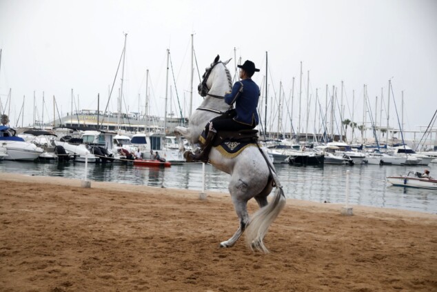 Imagen: El espectáculo ecuestre «Caballos de ensueño» ofreció una exhibición de doma en el recinto taurino del puerto