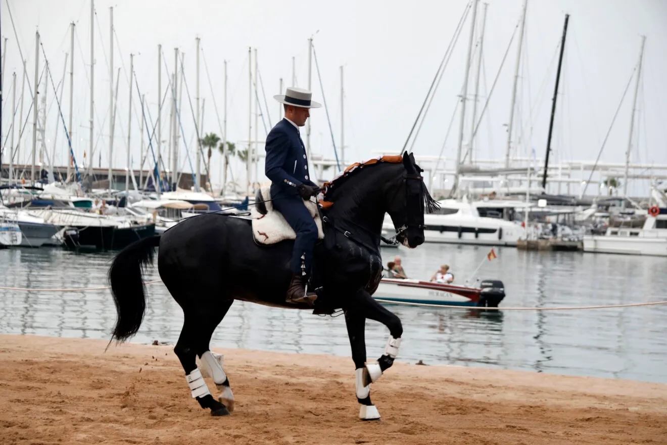 Espectáculo benéfico Caballos de ensueño 14