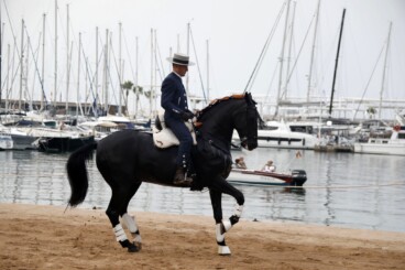 Espectáculo benéfico Caballos de ensueño 14