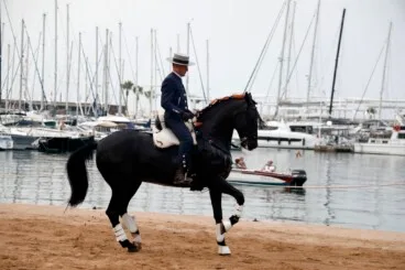 Espectáculo benéfico Caballos de ensueño 14