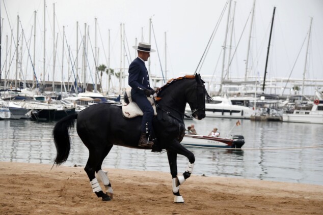 espectaculo benefico caballos de ensueno 14