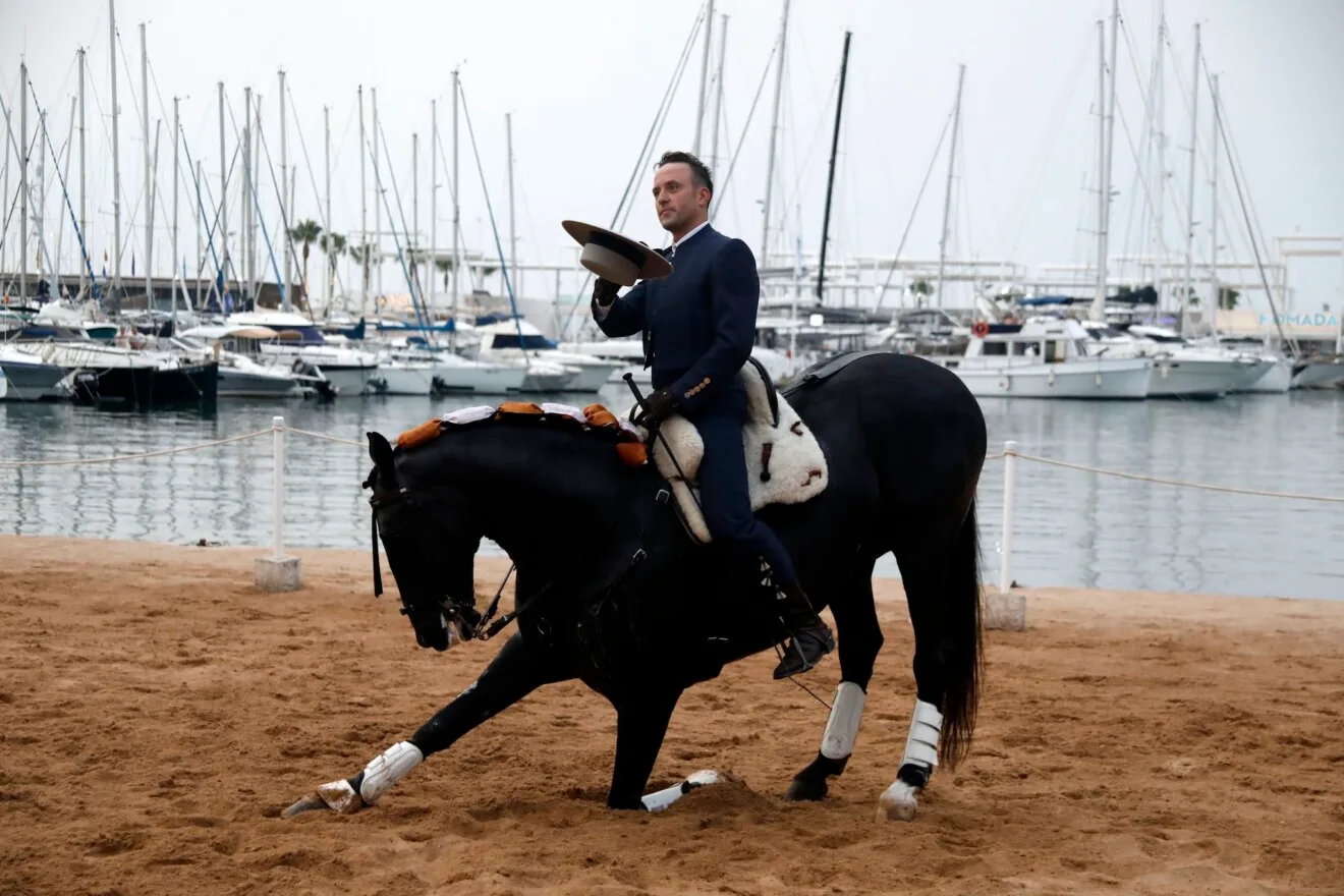 Espectáculo benéfico Caballos de ensueño 15