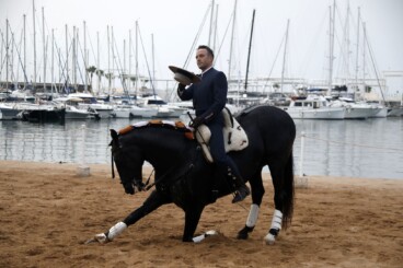 Espectáculo benéfico Caballos de ensueño 15