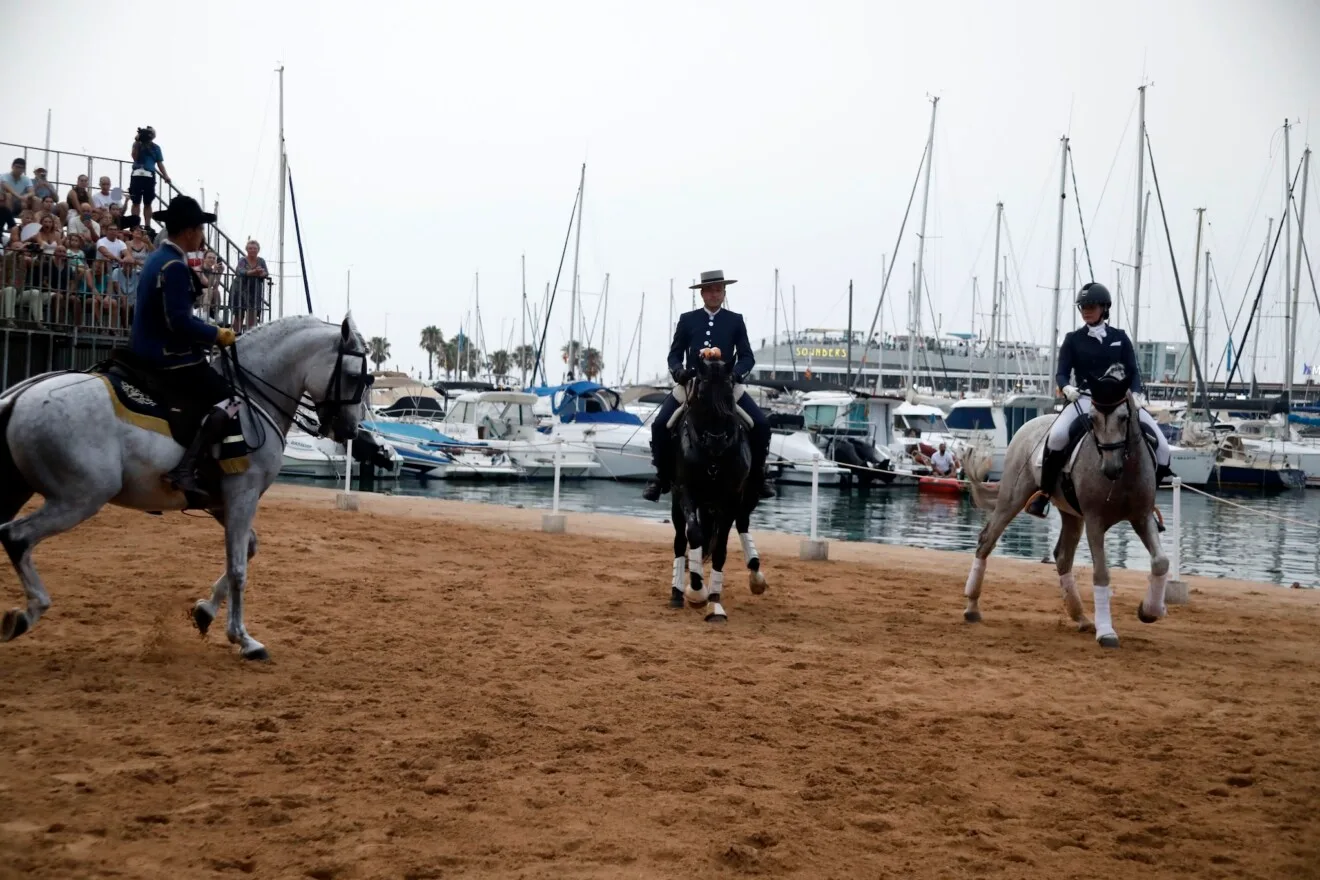 Espectáculo benéfico Caballos de ensueño 16