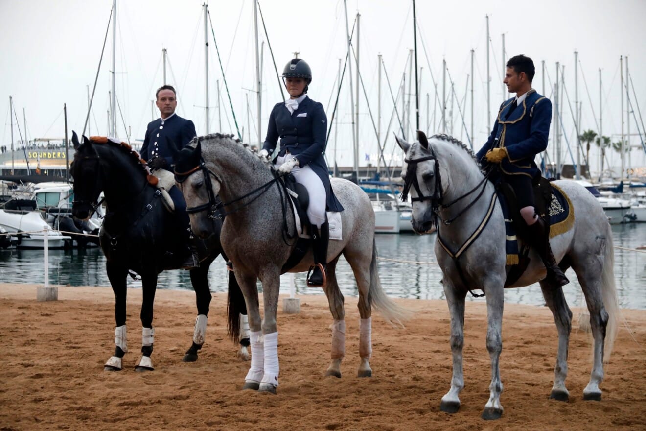 Espectáculo benéfico Caballos de ensueño 17