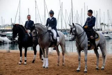 Espectáculo benéfico Caballos de ensueño 17
