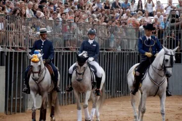 Espectáculo benéfico Caballos de ensueño 8